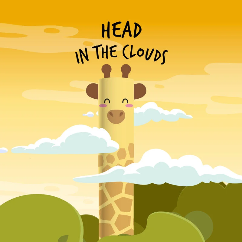 503941-001-3.webp