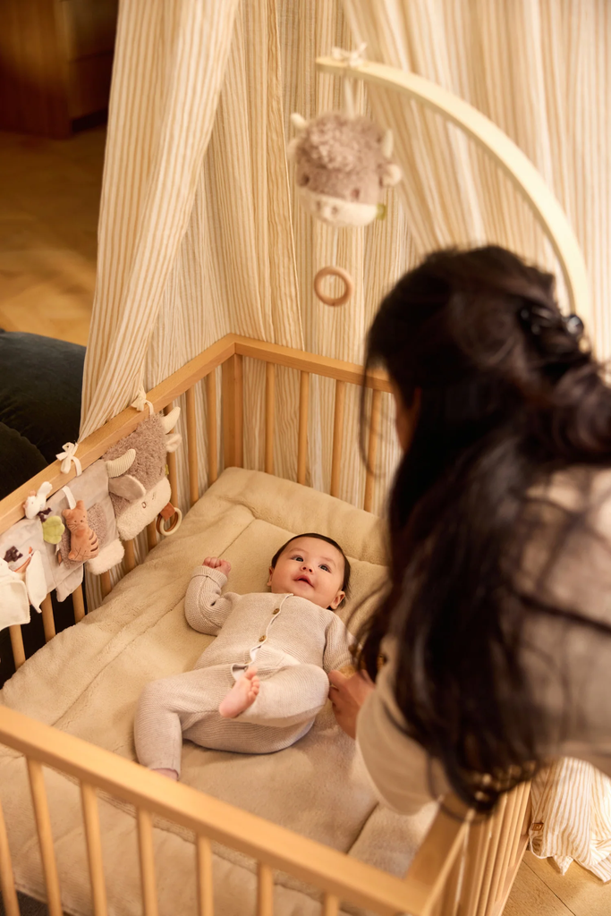 072-001-68246_6_20260617T.jpg.webp