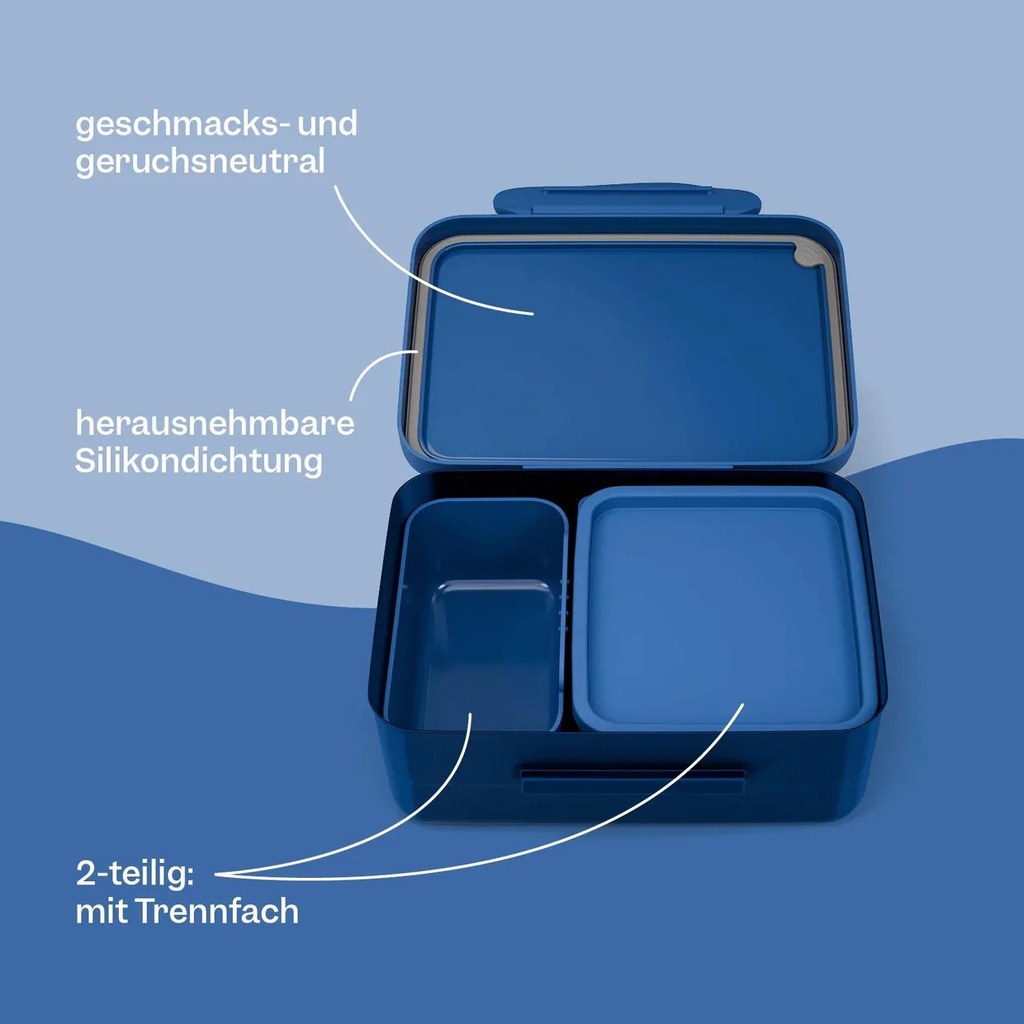 503782-11-6.jpg