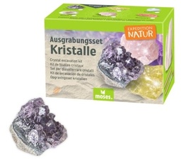 [504242-1] moses Expedition Natur Ausgrabungsset (Kristall Amethyst)