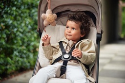 [504273-1] Jollein Kinderwagen-Anhänger (Spring Garden)