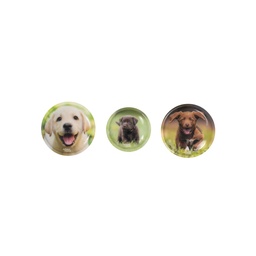 [503732-05] School-Mood 3. Tlg. Patchys Sets (Leni (Hund))