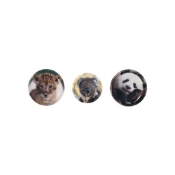 [503732-20] School-Mood 3. Tlg. Patchys Sets (Tierkinder)