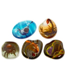[503806-12] ergobag Kletties-Set (Gefährliche Tiere)