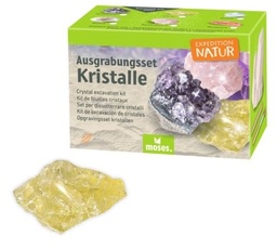 [504242-2] moses Expedition Natur Ausgrabungsset (Kristall Citrin)
