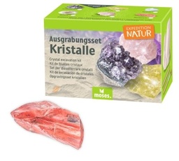 [504242-6] moses Expedition Natur Ausgrabungsset (Kristall Rotquarz)