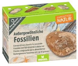 [504258-2] moses Expedition Natur Mini-Ausgrabungsset (Fossilien)