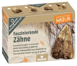 [504258-6] moses Expedition Natur Mini-Ausgrabungsset (Faszinierende Zähne)