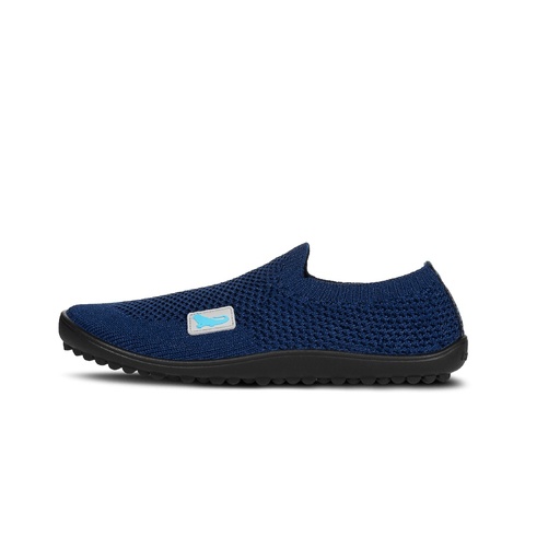 Leguano Leguanito Scio Blau