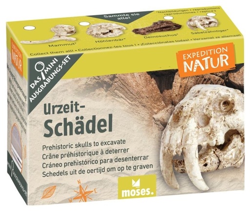 moses Expedition Natur Mini-Ausgrabungsset