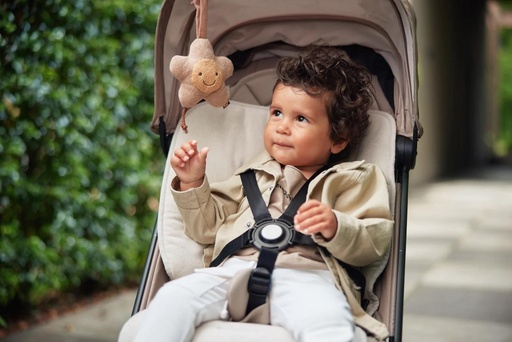 Jollein Kinderwagen-Anhänger